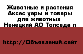 Животные и растения Аксесcуары и товары для животных. Ненецкий АО,Топседа п.